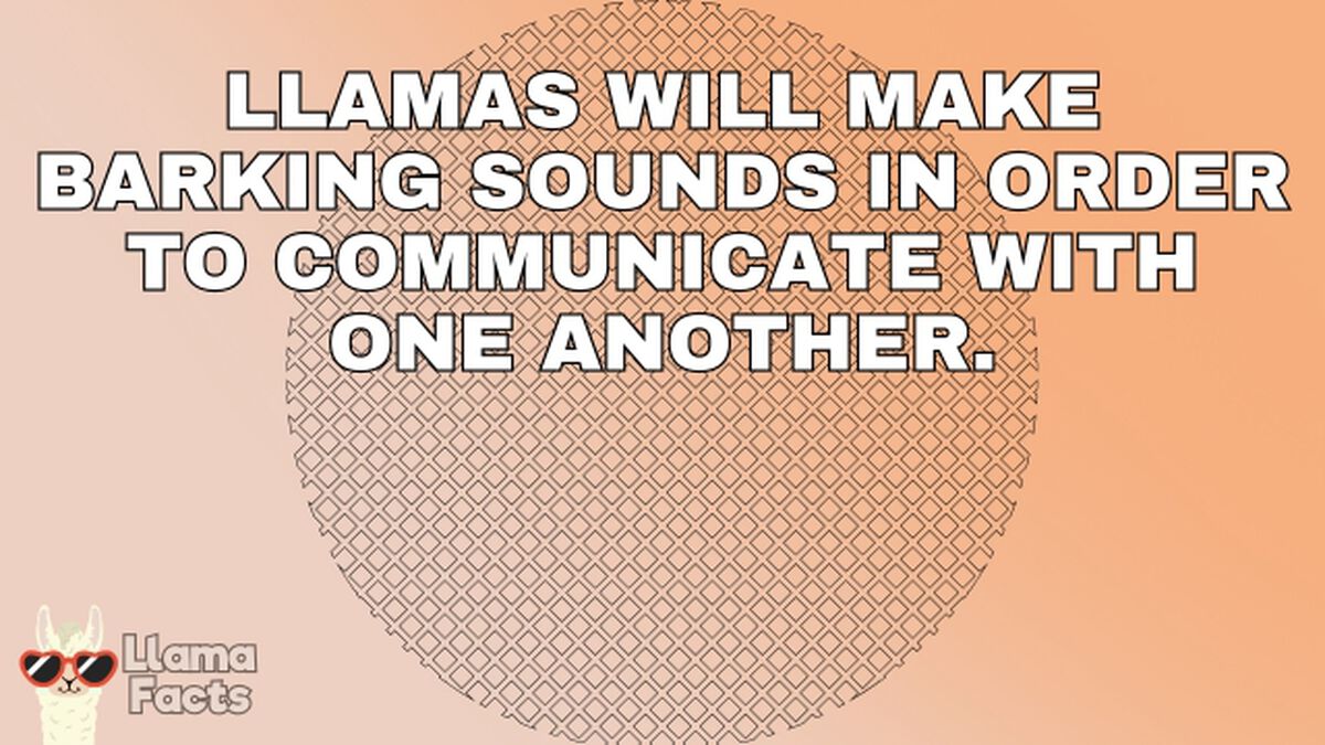 Llama Facts image number null